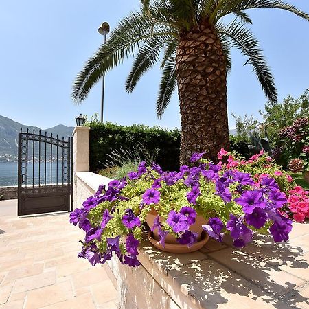 Maniva Penthouse By The Sea Διαμέρισμα Κότορ Εξωτερικό φωτογραφία